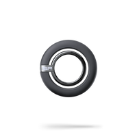 Ring Mount