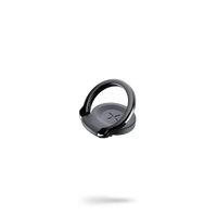 Ring Mount